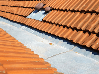 About Leaking Skylight Repair Pros Neligh, NE